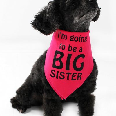 Midlee I’m Going to be a Big Sister Dog Bandana