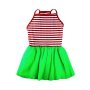 Midlee Christmas Stripe Tutu Large Dog Dress