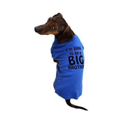 Midlee I’m Going to be a Big Brother Dog Shirt