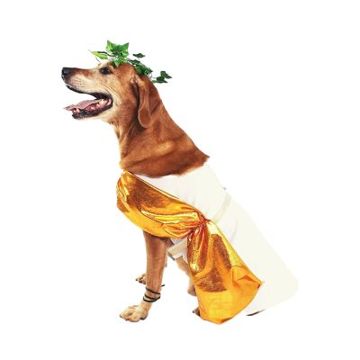 Midlee Toga Dog Costume